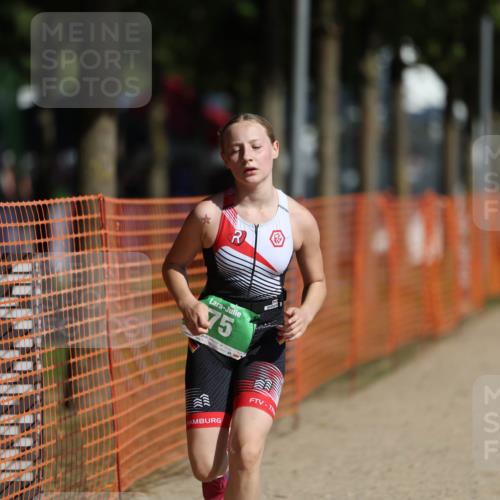 07.09.2025 - 19. Norderstedt Triathlon Michael Strokosch http://msf.ph/oto/8759470 07.09.2025 11:06:33 Laufen 67, 75, 133 meine-sportfotos.de