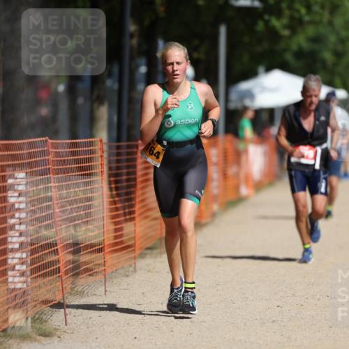 07.09.2025 - 19. Norderstedt Triathlon Michael Strokosch http://msf.ph/oto/8763360 07.09.2025 12:10:14 Laufen 1164, 1279 meine-sportfotos.de