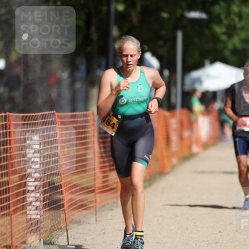 07.09.2025 - 19. Norderstedt Triathlon Michael Strokosch http://msf.ph/oto/8763380 07.09.2025 12:10:15 Laufen 826, 1164, 1279 meine-sportfotos.de