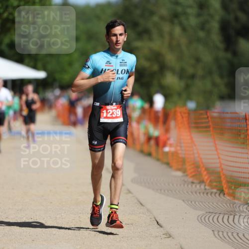 07.09.2025 - 19. Norderstedt Triathlon Michael Strokosch http://msf.ph/oto/8763624 07.09.2025 12:10:38 Laufen 1239 meine-sportfotos.de