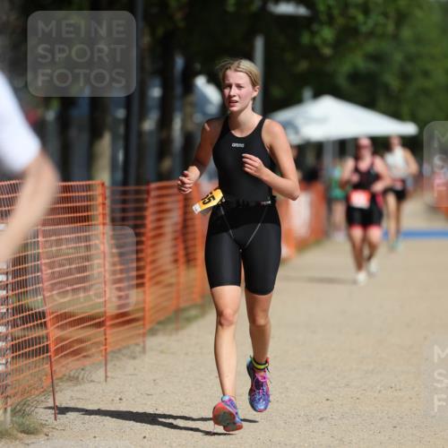 07.09.2025 - 19. Norderstedt Triathlon Michael Strokosch http://msf.ph/oto/8763738 07.09.2025 12:10:50 Laufen 300, 1155 meine-sportfotos.de