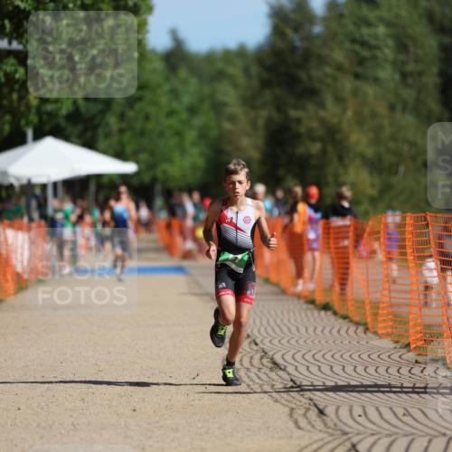 07.09.2025 - 19. Norderstedt Triathlon Michael Strokosch http://msf.ph/oto/8764606 07.09.2025 10:48:33 Laufen 61 meine-sportfotos.de