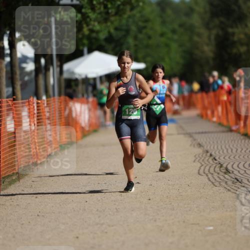 07.09.2025 - 19. Norderstedt Triathlon Michael Strokosch http://msf.ph/oto/8765725 07.09.2025 10:49:20 Laufen 79, 111, 120 meine-sportfotos.de