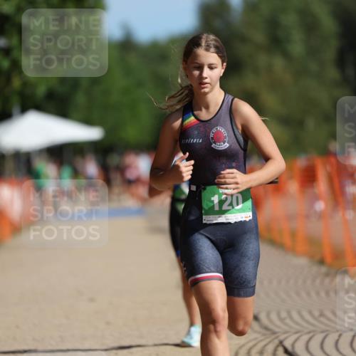 07.09.2025 - 19. Norderstedt Triathlon Michael Strokosch http://msf.ph/oto/8765795 07.09.2025 10:49:22 Laufen 79, 111, 120 meine-sportfotos.de