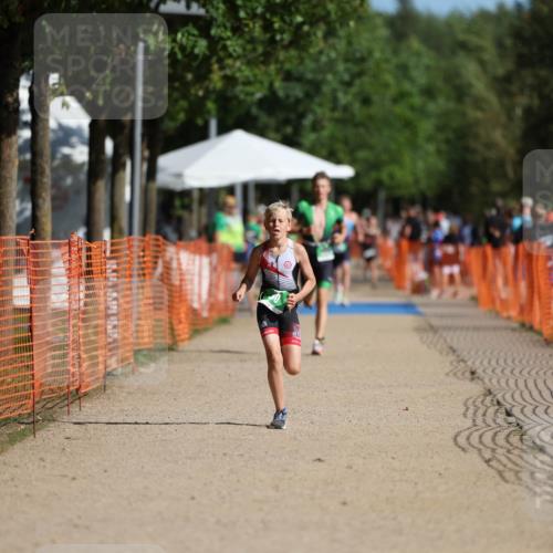 07.09.2025 - 19. Norderstedt Triathlon Michael Strokosch http://msf.ph/oto/8766807 07.09.2025 10:51:03 Laufen 75, 80, 663, 687 meine-sportfotos.de
