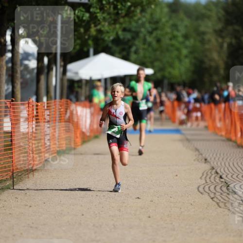 07.09.2025 - 19. Norderstedt Triathlon Michael Strokosch http://msf.ph/oto/8766812 07.09.2025 10:51:03 Laufen 75, 80, 663, 687 meine-sportfotos.de