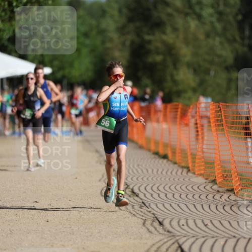 07.09.2025 - 19. Norderstedt Triathlon Michael Strokosch http://msf.ph/oto/8766973 07.09.2025 10:51:31 Laufen 56, 648, 673, 686, 1146 meine-sportfotos.de
