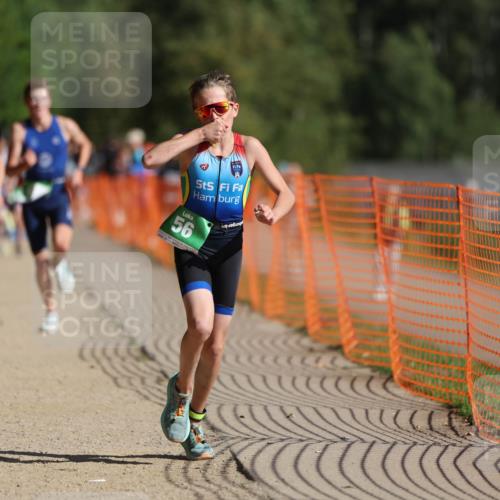 07.09.2025 - 19. Norderstedt Triathlon Michael Strokosch http://msf.ph/oto/8766984 07.09.2025 10:51:33 Laufen 56, 648, 673, 686, 1146 meine-sportfotos.de