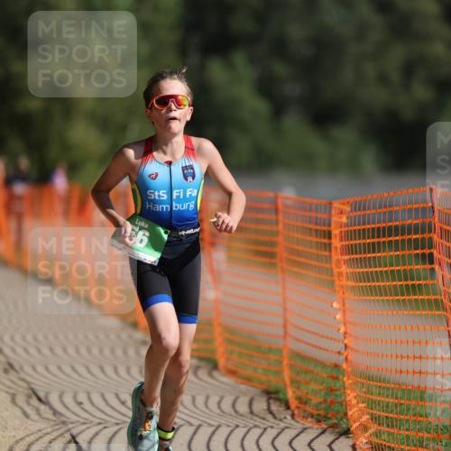 07.09.2025 - 19. Norderstedt Triathlon Michael Strokosch http://msf.ph/oto/8766988 07.09.2025 10:51:33 Laufen 56, 648, 673, 686, 1146 meine-sportfotos.de