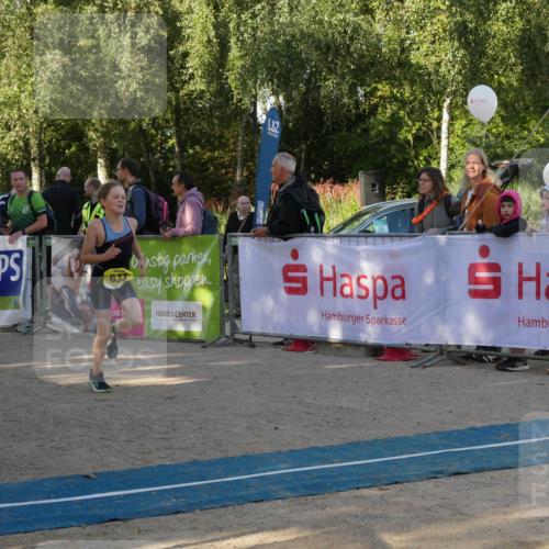 07.09.2025 - 19. Norderstedt Triathlon Zöllner http://msf.ph/oto/8768717 07.09.2025 09:46:53 Ziel 556, 570, 633 meine-sportfotos.de