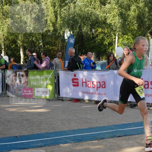 07.09.2025 - 19. Norderstedt Triathlon Zöllner http://msf.ph/oto/8768758 07.09.2025 09:47:06 Ziel 572 meine-sportfotos.de