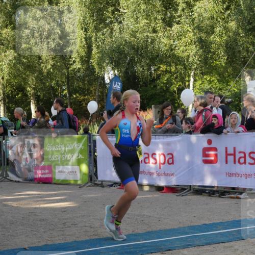 07.09.2025 - 19. Norderstedt Triathlon Zöllner http://msf.ph/oto/8768920 07.09.2025 09:48:35 Ziel 598, 603, 623 meine-sportfotos.de