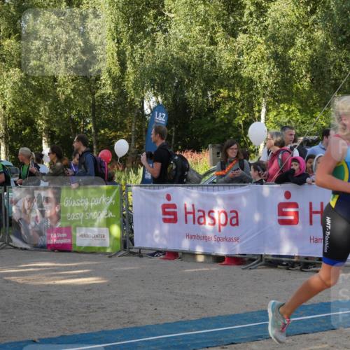 07.09.2025 - 19. Norderstedt Triathlon Zöllner http://msf.ph/oto/8768923 07.09.2025 09:48:35 Ziel 598, 603, 623 meine-sportfotos.de