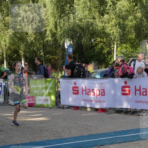 07.09.2025 - 19. Norderstedt Triathlon Zöllner http://msf.ph/oto/8768936 07.09.2025 09:48:39 Ziel 598, 603, 625 meine-sportfotos.de