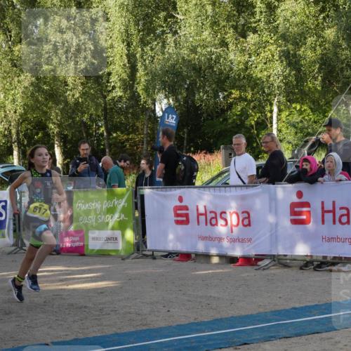 07.09.2025 - 19. Norderstedt Triathlon Zöllner http://msf.ph/oto/8768989 07.09.2025 09:49:16 Ziel 617 meine-sportfotos.de