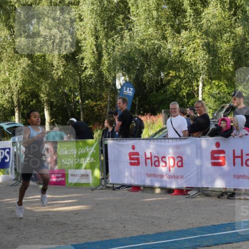 07.09.2025 - 19. Norderstedt Triathlon Zöllner http://msf.ph/oto/8768999 07.09.2025 09:49:26 Ziel 554, 567, 574 meine-sportfotos.de