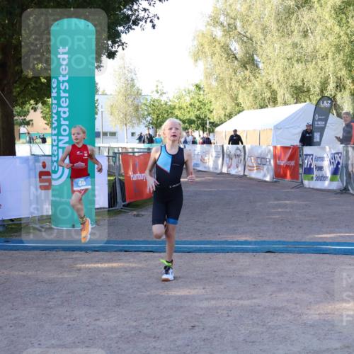 07.09.2025 - 19. Norderstedt Triathlon Zöllner http://msf.ph/oto/8769533 07.09.2025 09:12:32 Ziel 46, 50 meine-sportfotos.de