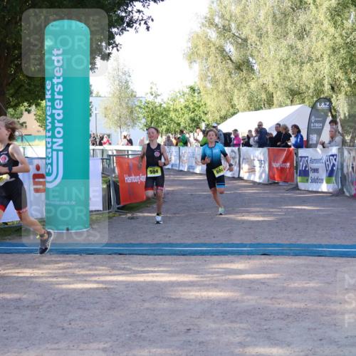 07.09.2025 - 19. Norderstedt Triathlon Zöllner http://msf.ph/oto/8770443 07.09.2025 09:45:55 Ziel 594, 595, 604 meine-sportfotos.de