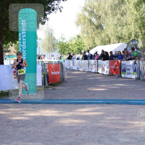 07.09.2025 - 19. Norderstedt Triathlon Zöllner http://msf.ph/oto/8770803 07.09.2025 09:48:14 Ziel 559, 566, 614 meine-sportfotos.de