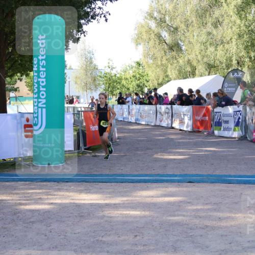 07.09.2025 - 19. Norderstedt Triathlon Zöllner http://msf.ph/oto/8770866 07.09.2025 09:48:28 Ziel 576, 598, 603, 607, 623 meine-sportfotos.de