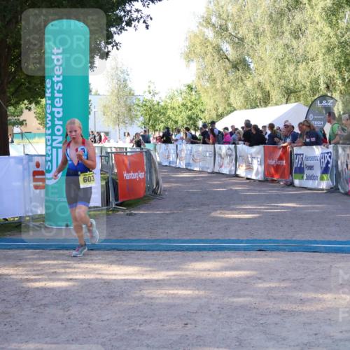 07.09.2025 - 19. Norderstedt Triathlon Zöllner http://msf.ph/oto/8770919 07.09.2025 09:48:34 Ziel 598, 603, 623, 625 meine-sportfotos.de
