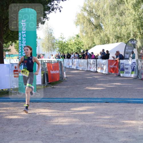 07.09.2025 - 19. Norderstedt Triathlon Zöllner http://msf.ph/oto/8771056 07.09.2025 09:49:16 Ziel 617 meine-sportfotos.de
