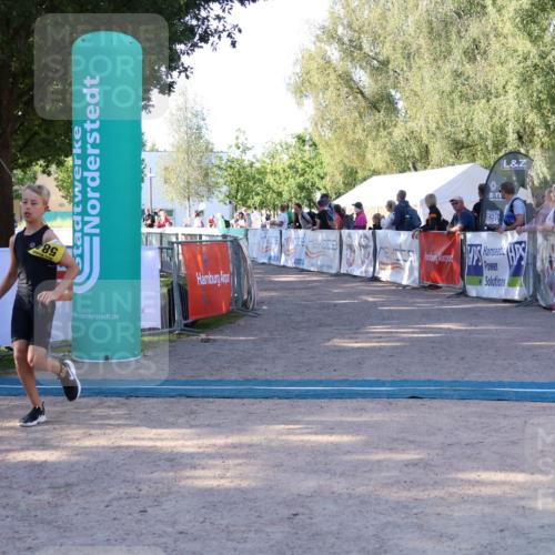 07.09.2025 - 19. Norderstedt Triathlon Zöllner http://msf.ph/oto/8771383 07.09.2025 09:50:27 Ziel 584 meine-sportfotos.de