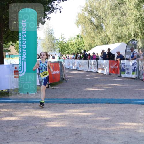 07.09.2025 - 19. Norderstedt Triathlon Zöllner http://msf.ph/oto/8771405 07.09.2025 09:50:36 Ziel 565 meine-sportfotos.de