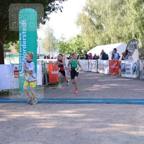 07.09.2025 - 19. Norderstedt Triathlon Zöllner http://msf.ph/oto/8771581 07.09.2025 09:52:29 Ziel 579, 580, 631 meine-sportfotos.de