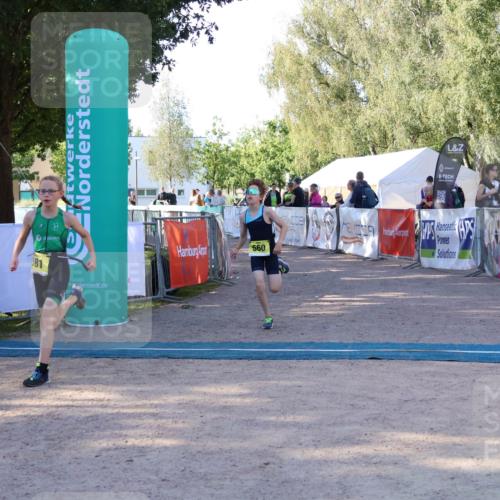 07.09.2025 - 19. Norderstedt Triathlon Zöllner http://msf.ph/oto/8771621 07.09.2025 09:53:02 Ziel 560, 581 meine-sportfotos.de