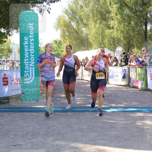 07.09.2025 - 19. Norderstedt Triathlon Zöllner http://msf.ph/oto/8778342 07.09.2025 12:29:03 Ziel 736, 1197, 1348 meine-sportfotos.de