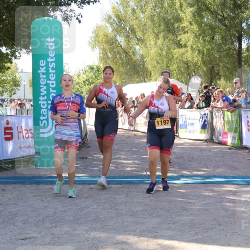 07.09.2025 - 19. Norderstedt Triathlon Zöllner http://msf.ph/oto/8778346 07.09.2025 12:29:03 Ziel 736, 1197, 1348 meine-sportfotos.de