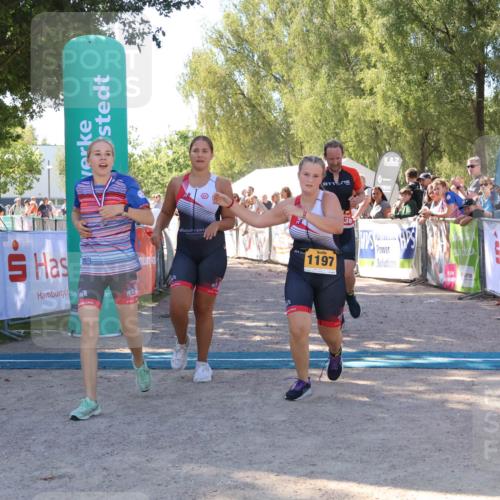 07.09.2025 - 19. Norderstedt Triathlon Zöllner http://msf.ph/oto/8778347 07.09.2025 12:29:04 Ziel 736, 1197, 1348 meine-sportfotos.de