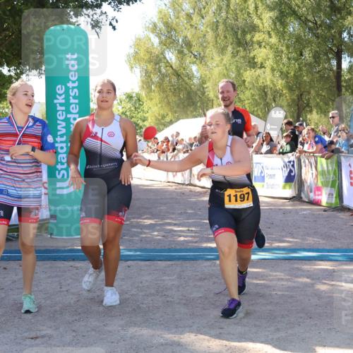 07.09.2025 - 19. Norderstedt Triathlon Zöllner http://msf.ph/oto/8778359 07.09.2025 12:29:04 Ziel 736, 1197, 1348 meine-sportfotos.de