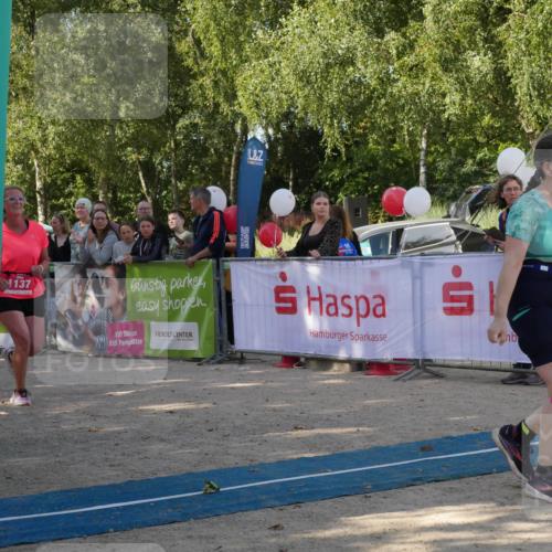 07.09.2025 - 19. Norderstedt Triathlon Zöllner http://msf.ph/oto/8780744 07.09.2025 10:55:11 Ziel 678, 1137, 1143 meine-sportfotos.de