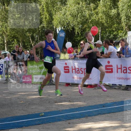 07.09.2025 - 19. Norderstedt Triathlon Zöllner http://msf.ph/oto/8781227 07.09.2025 10:57:34 Ziel 58, 126, 636 meine-sportfotos.de