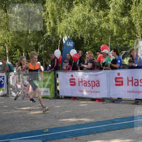 07.09.2025 - 19. Norderstedt Triathlon Zöllner http://msf.ph/oto/8781776 07.09.2025 10:59:52 Ziel 73, 132 meine-sportfotos.de