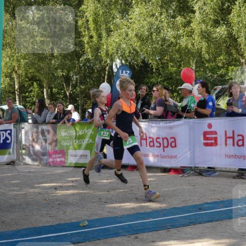 07.09.2025 - 19. Norderstedt Triathlon Zöllner http://msf.ph/oto/8781781 07.09.2025 10:59:52 Ziel 73, 132 meine-sportfotos.de