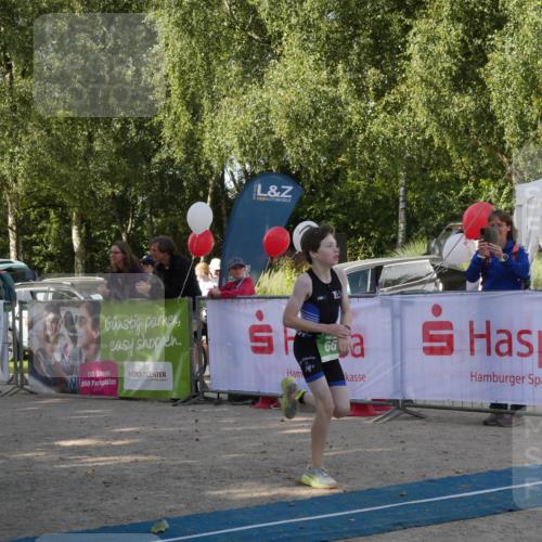 07.09.2025 - 19. Norderstedt Triathlon Zöllner http://msf.ph/oto/8782340 07.09.2025 11:03:08 Ziel 56, 66, 124 meine-sportfotos.de