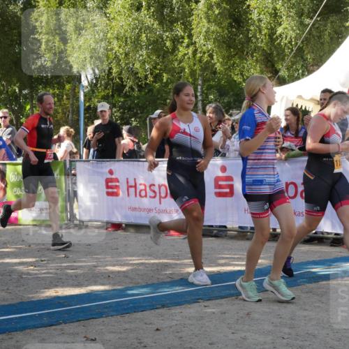 07.09.2025 - 19. Norderstedt Triathlon Zöllner http://msf.ph/oto/8784874 07.09.2025 12:29:04 Ziel 736, 1197, 1348 meine-sportfotos.de