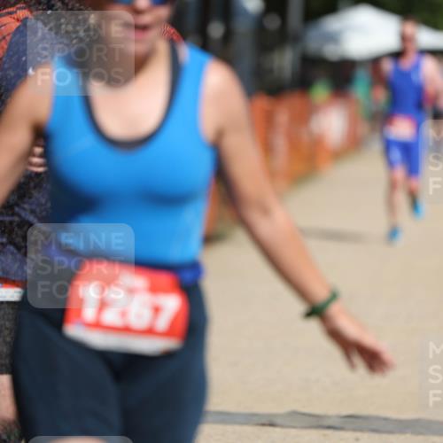 07.09.2025 - 19. Norderstedt Triathlon Michael Strokosch http://msf.ph/oto/8797265 07.09.2025 12:21:50 Laufen 190, 782, 1228, 1267 meine-sportfotos.de