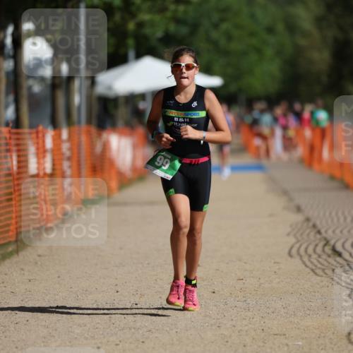 07.09.2025 - 19. Norderstedt Triathlon Michael Strokosch http://msf.ph/oto/8798334 07.09.2025 10:54:40 Laufen 99, 678, 1137 meine-sportfotos.de