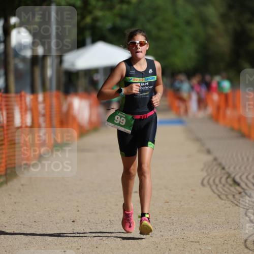 07.09.2025 - 19. Norderstedt Triathlon Michael Strokosch http://msf.ph/oto/8798347 07.09.2025 10:54:40 Laufen 99, 678, 1137 meine-sportfotos.de