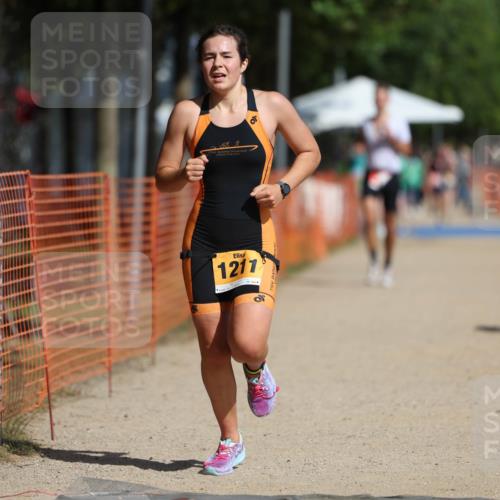 07.09.2025 - 19. Norderstedt Triathlon Michael Strokosch http://msf.ph/oto/8798451 07.09.2025 11:57:56 Laufen 300, 1179, 1211, 1219 meine-sportfotos.de
