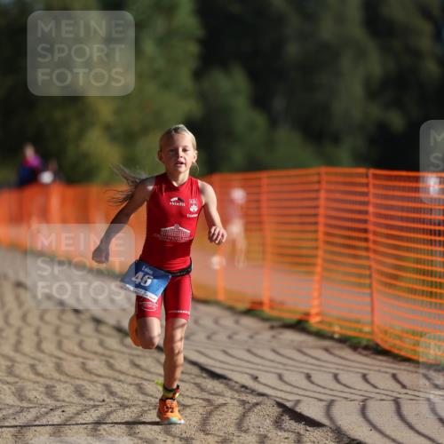 07.09.2025 - 19. Norderstedt Triathlon Michael Strokosch http://msf.ph/oto/8798861 07.09.2025 09:11:49 Laufen 46, 50 meine-sportfotos.de