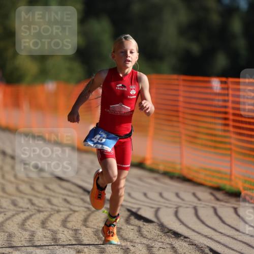 07.09.2025 - 19. Norderstedt Triathlon Michael Strokosch http://msf.ph/oto/8798883 07.09.2025 09:11:49 Laufen 46, 50 meine-sportfotos.de
