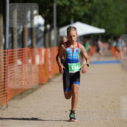 07.09.2025 - 19. Norderstedt Triathlon Michael Strokosch http://msf.ph/oto/8799104 07.09.2025 10:55:40 Laufen 134, 637, 680 meine-sportfotos.de