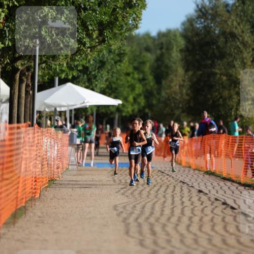 07.09.2025 - 19. Norderstedt Triathlon Michael Strokosch http://msf.ph/oto/8799642 07.09.2025 09:13:12 Laufen  meine-sportfotos.de