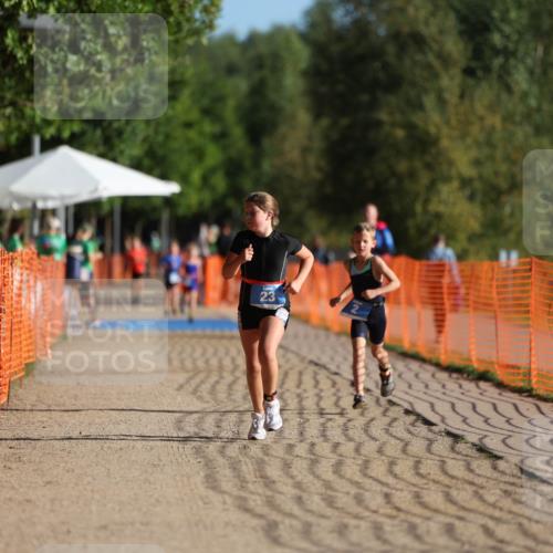 07.09.2025 - 19. Norderstedt Triathlon Michael Strokosch http://msf.ph/oto/8801011 07.09.2025 09:15:09 Laufen 23 meine-sportfotos.de
