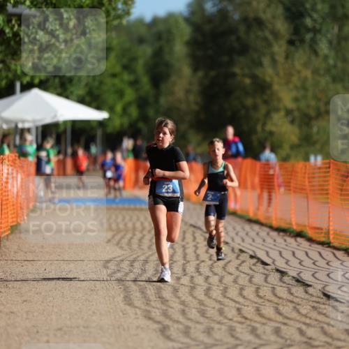 07.09.2025 - 19. Norderstedt Triathlon Michael Strokosch http://msf.ph/oto/8801026 07.09.2025 09:15:09 Laufen 23 meine-sportfotos.de